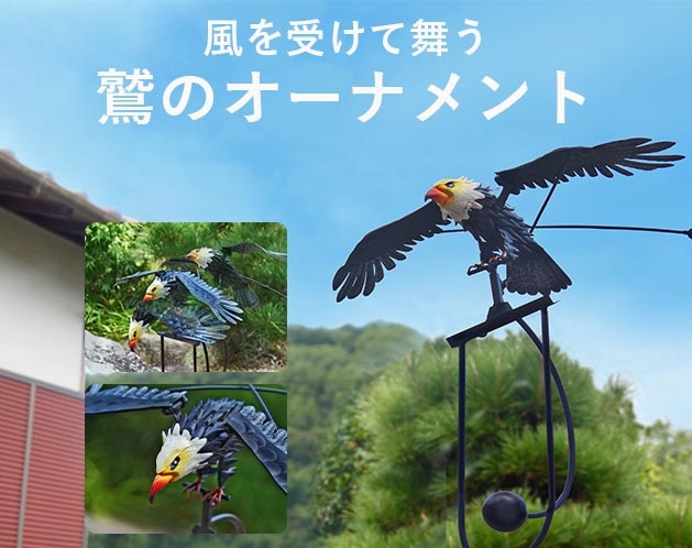 ����ư���ɤΥ����ʥ���