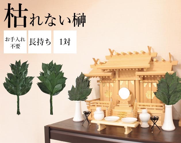 �����ѸϤ�ʤ��ץꥶ���֥ɺ硡����