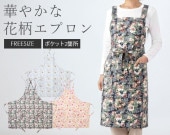 ��Ũ�ʲ������ץ���