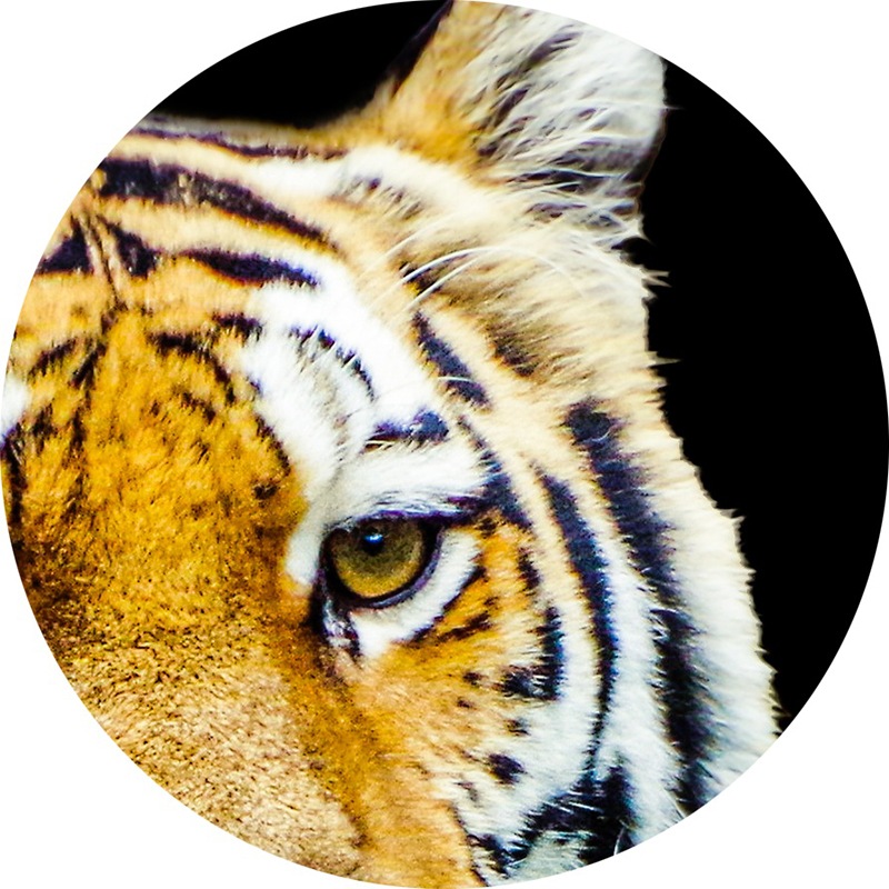 ������������������ǥ��֥쥹