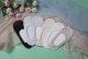 �����ư¿��졼��Ĵ�����ȥĥ�ĥ륽�å���������
