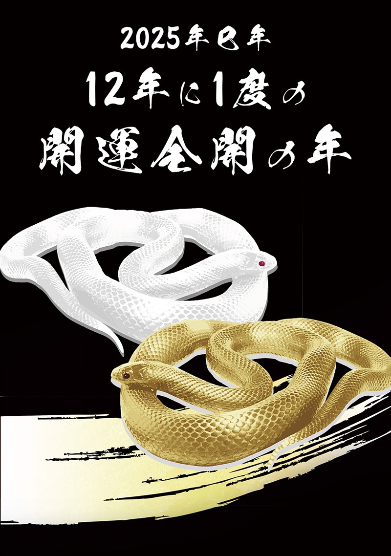 �糫����������ɥѥ����� �����쵧������