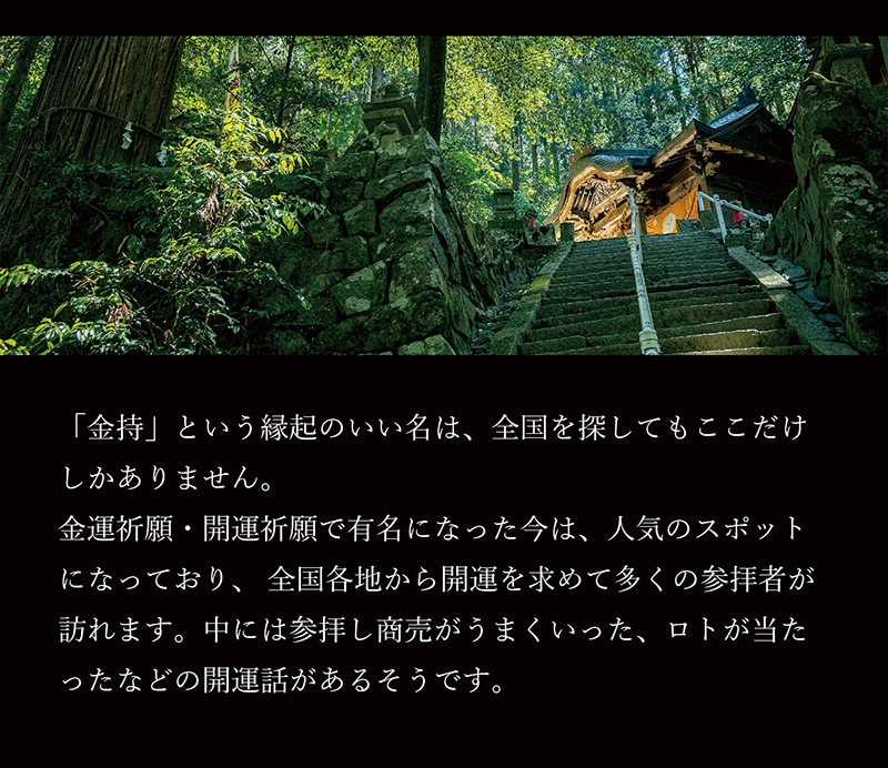 �糫����������ɥѥ����� �����쵧������