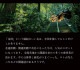 �糫����������ɥѥ����� �����쵧������