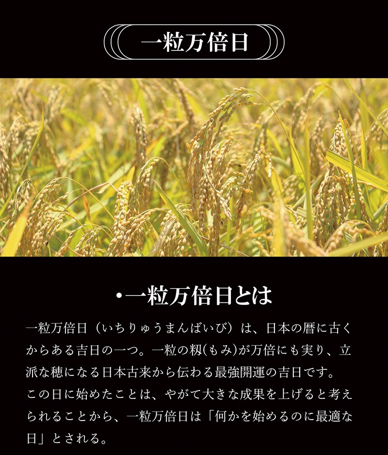 �糫����������ɥѥ����� ��������ѥ��Ⱥ���