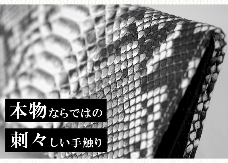 �糫����������ɥѥ����� ��������ѥ��Ⱥ���