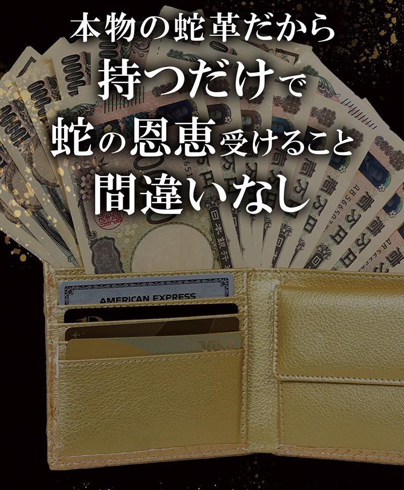�糫����������ɥѥ����� ��������ѥ��Ⱥ���