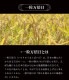 �糫����������ɥѥ����� ��������ѥ��Ⱥ���