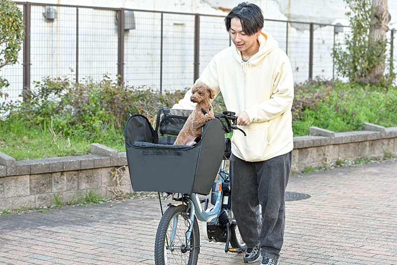 �ڥåȥ���Х����åȥ��С�  �磻��