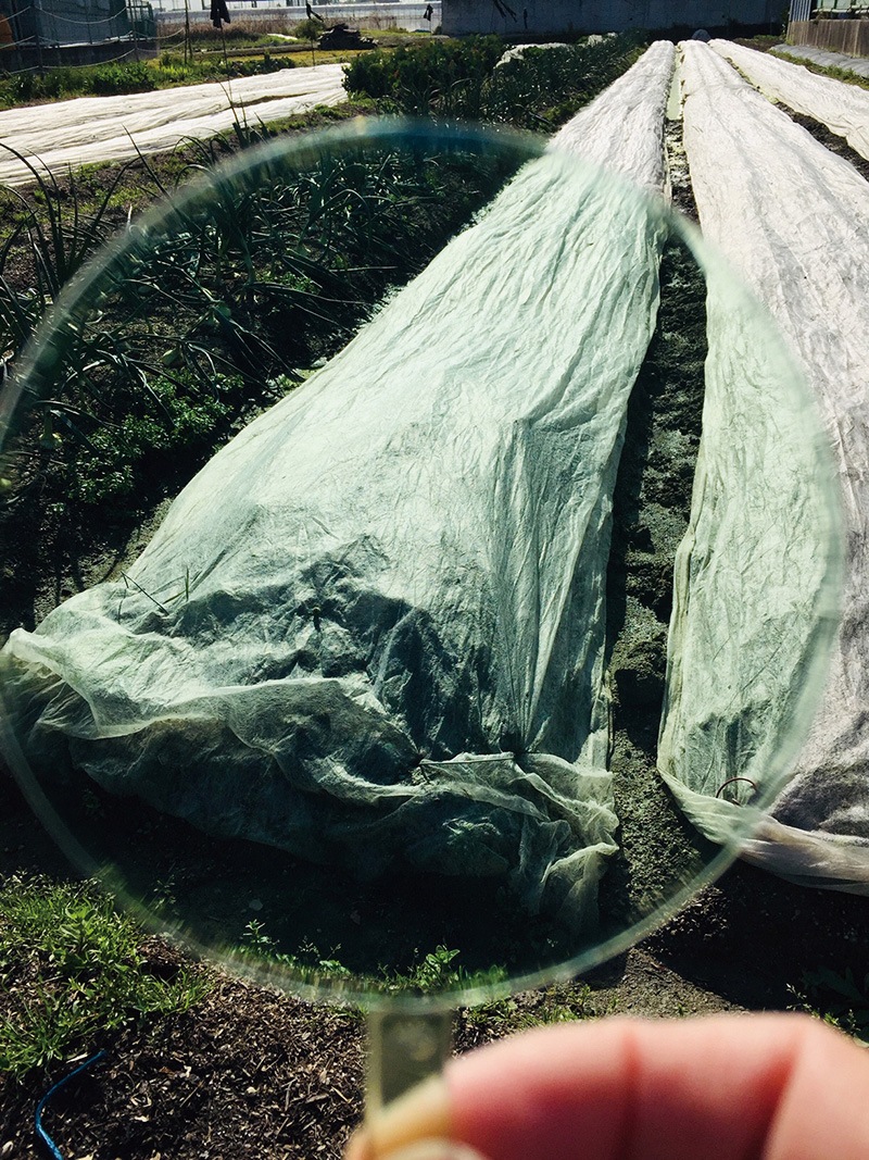 �����륿���ॢ���ꥱ�����饹���˽����ѡ�