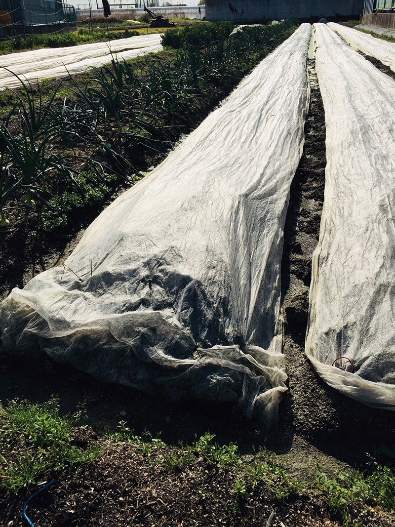 �����륿���ॢ���ꥱ�����饹���˽����ѡ�