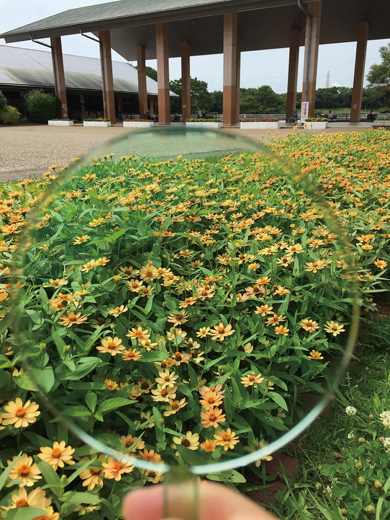 �����륿���ॢ���ꥱ�����饹���˽����ѡ�