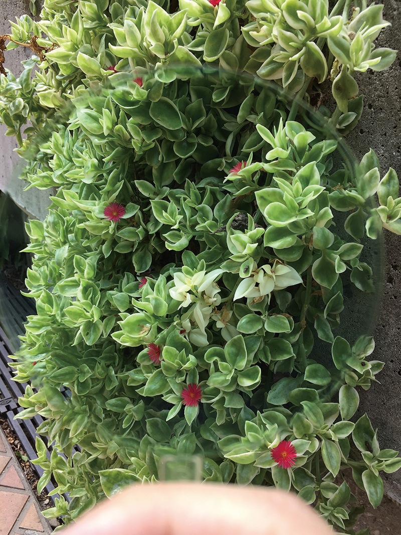 �����륿���ॢ���ꥱ�����饹���˽����ѡ�