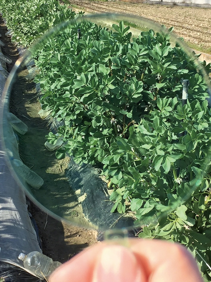 �����륿���ॢ���ꥱ�����饹���˽����ѡ�