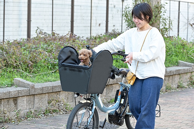 �ڥåȥ���Х����åȥ��С����쥮��顼