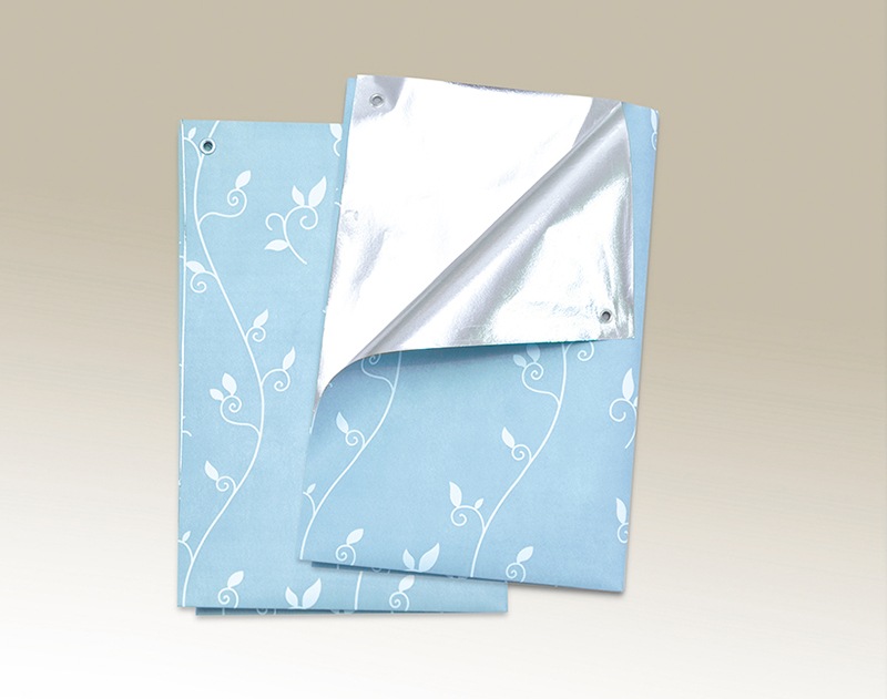 ����ƥꥢ��������Ǯ���׸������ȣ�����