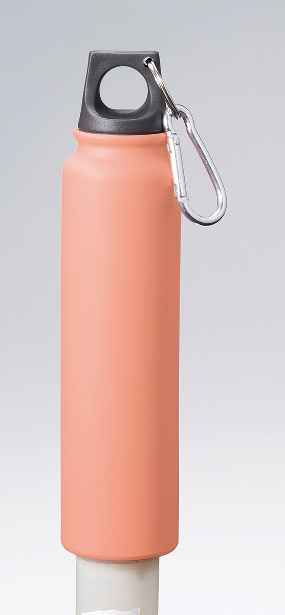 �롼�ץ���åץ���ߥܥȥ�ʣ����������3����