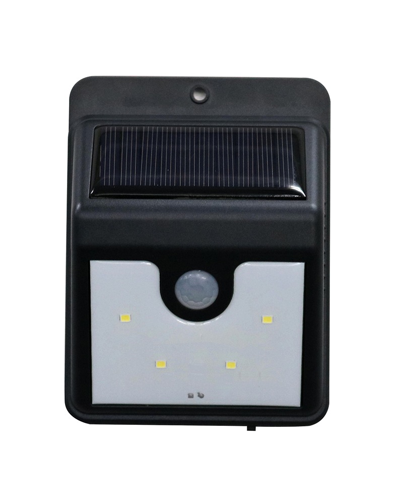 �����顼���ȥ饤�ȡ��ʥ��ȥ�����