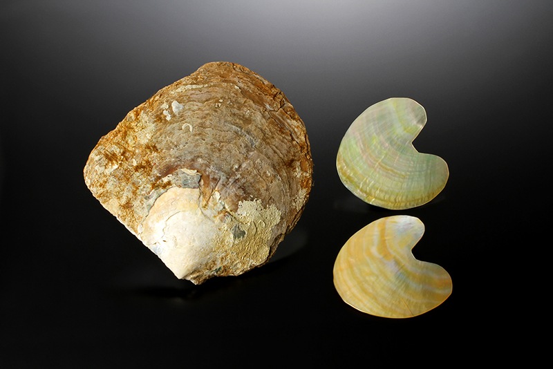 �Ɀ���Υץ��ڥ�����