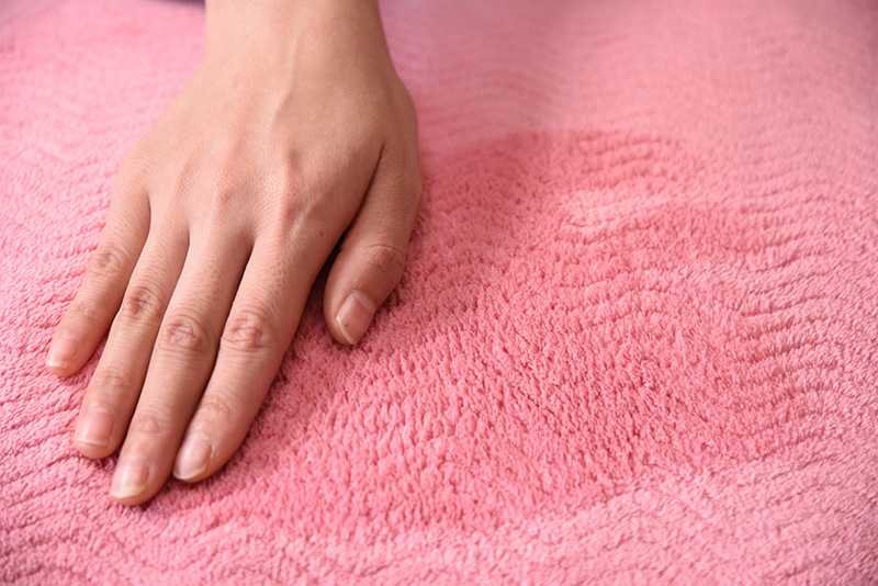 �ƥ����󡡥��ꥢ�����룱������