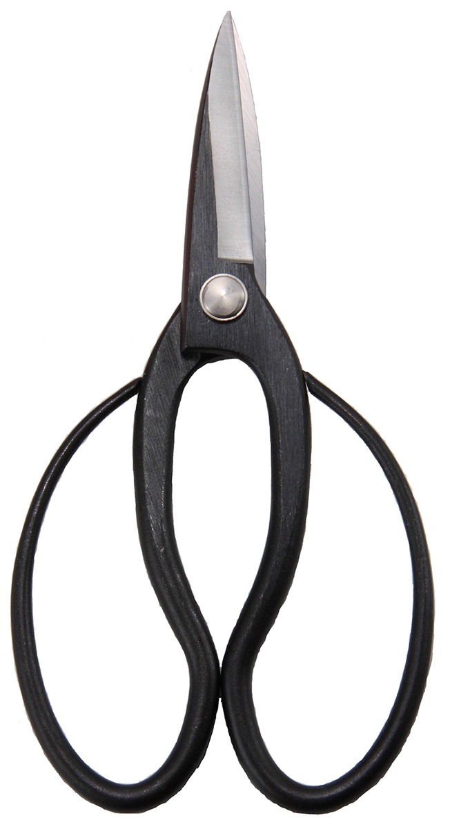 ���결�κ�ä���Ĺ�������������