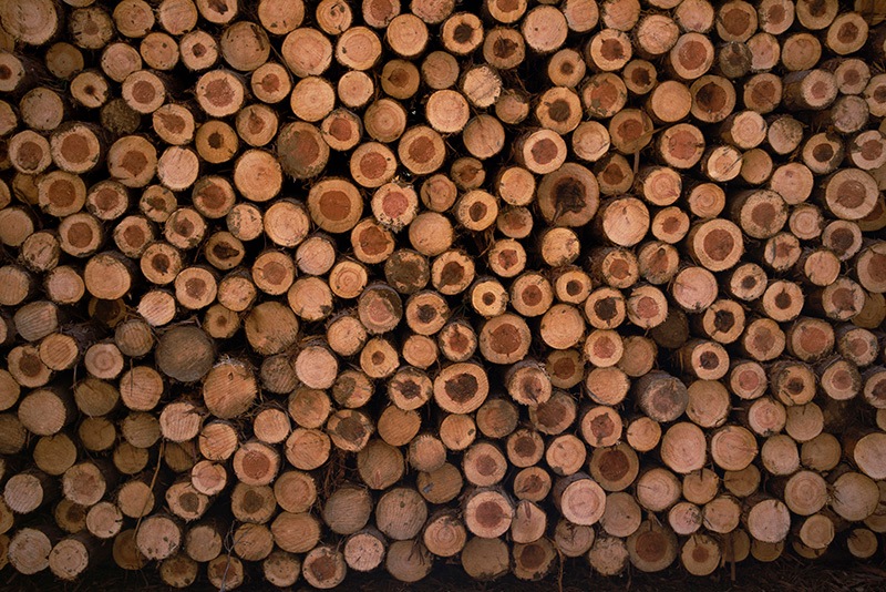 ���ż���ư�Υ�����