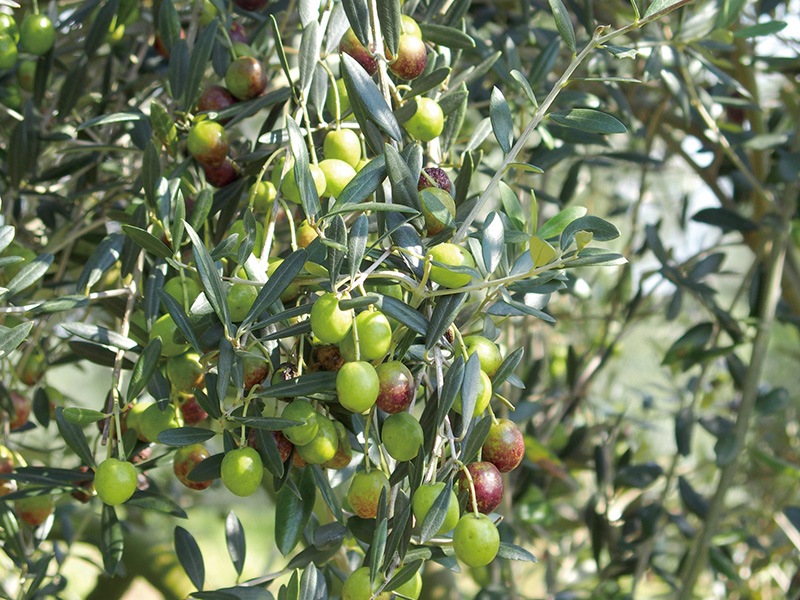 �ȥߡ���å����ϥȥ����ȩ�Ĥ��ӥ塼�ƥ�������3