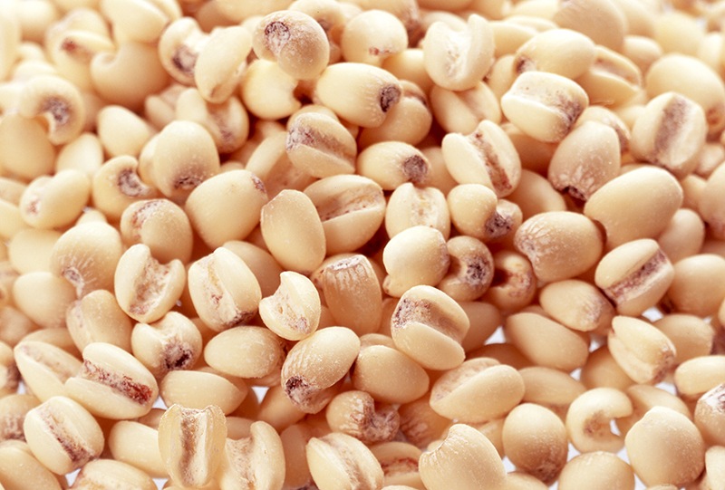 �ȥߡ���å����ϥȥ����ȩ�Ĥ��ӥ塼�ƥ�������3