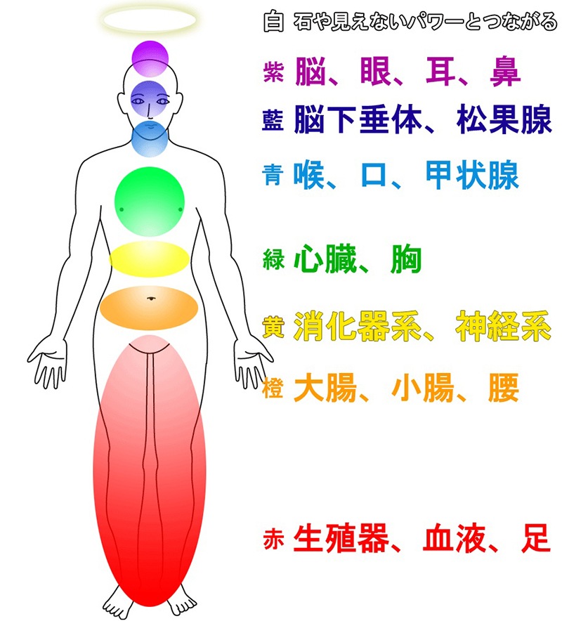 ���٤�����ǡ�襹�ȥ�å�