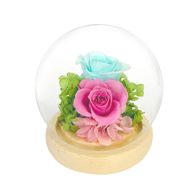 �ɡ��෿ �ץꥶ���֥ɥե�����󥸥���