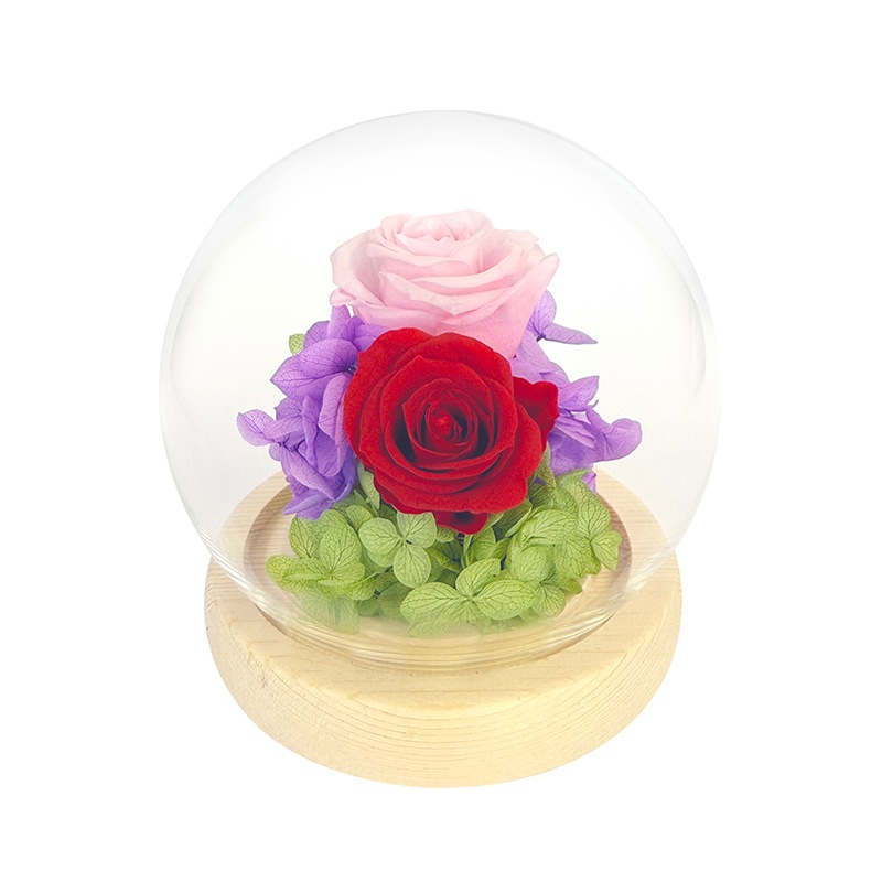 �ɡ��෿ �ץꥶ���֥ɥե�����󥸥���