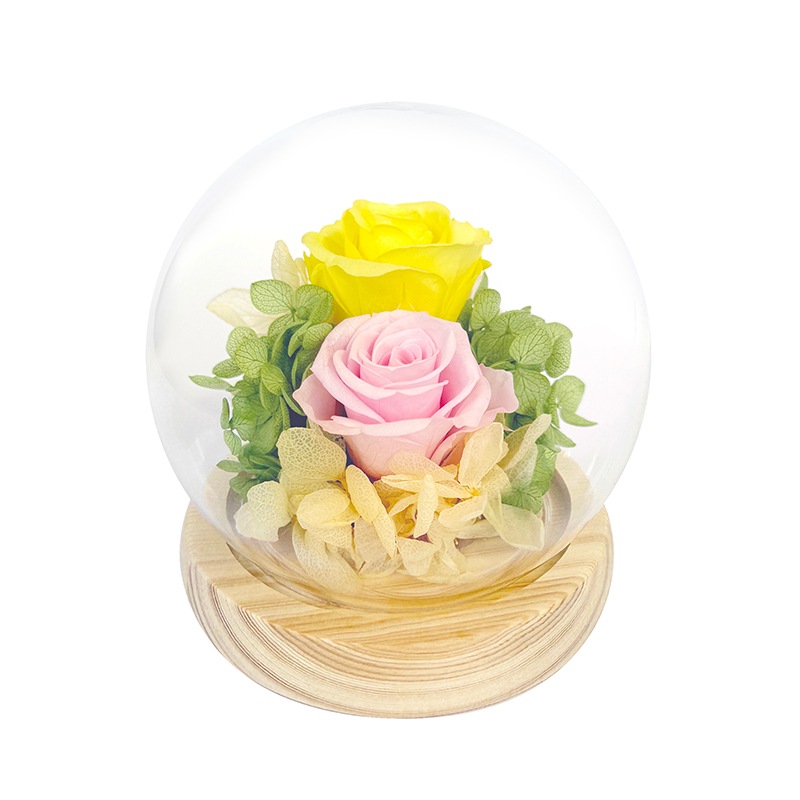 �ɡ��෿ �ץꥶ���֥ɥե�����󥸥���