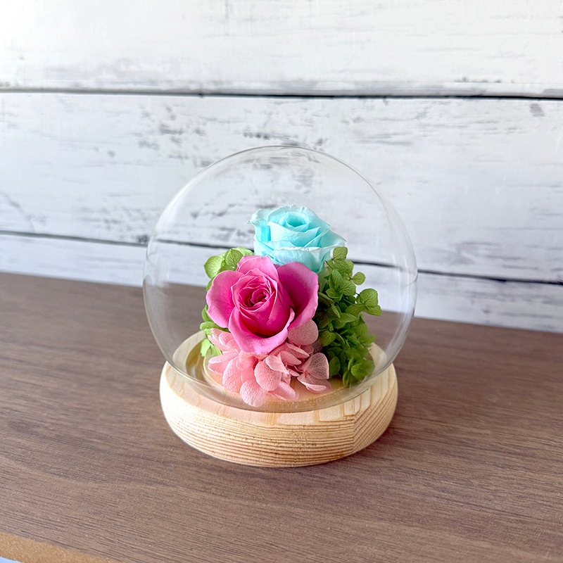 �ɡ��෿ �ץꥶ���֥ɥե�����󥸥���