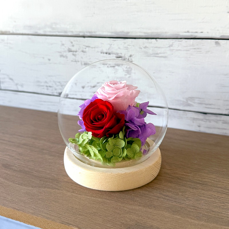 �ɡ��෿ �ץꥶ���֥ɥե�����󥸥���