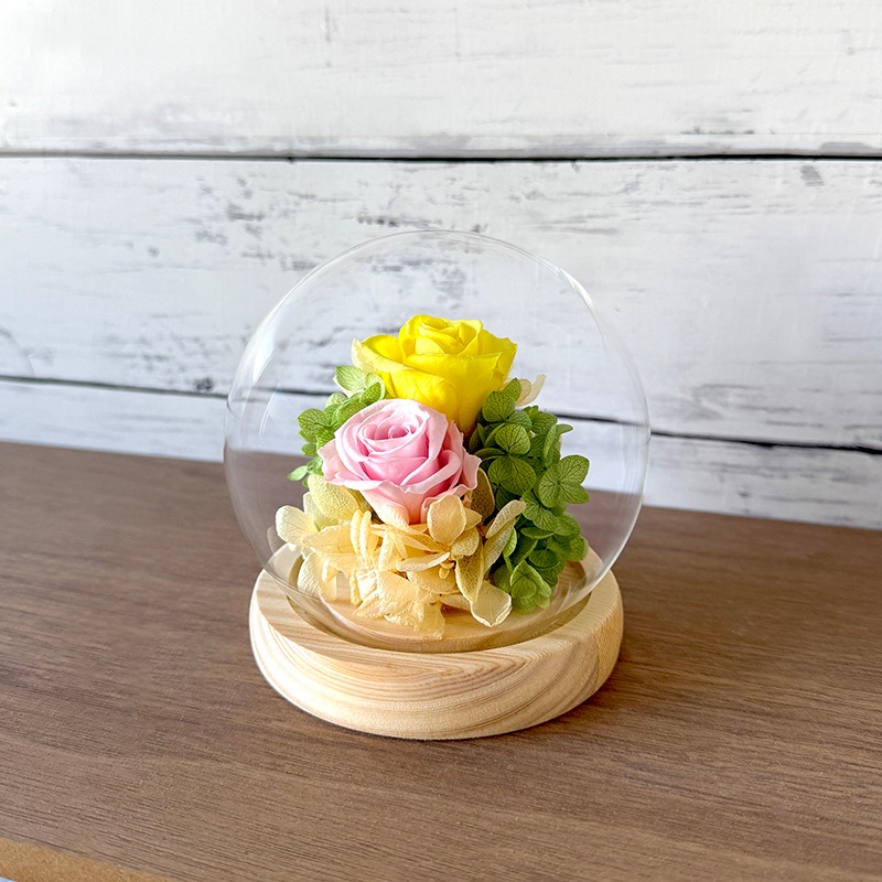 �ɡ��෿ �ץꥶ���֥ɥե�����󥸥���