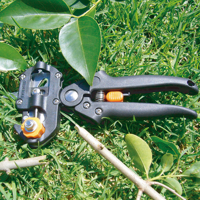 ��̳�ѡ��ڤ��ܤ�����DX