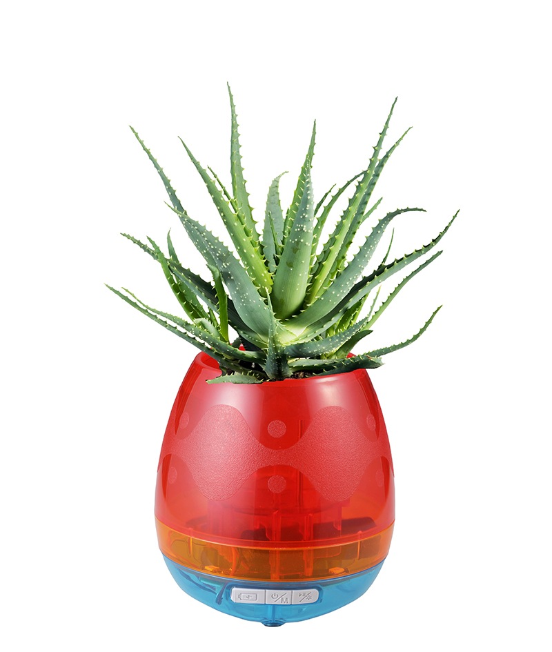 �դ��դǤ롦�����Ф������֥��ޡ��ȥե��ݥåȡ�