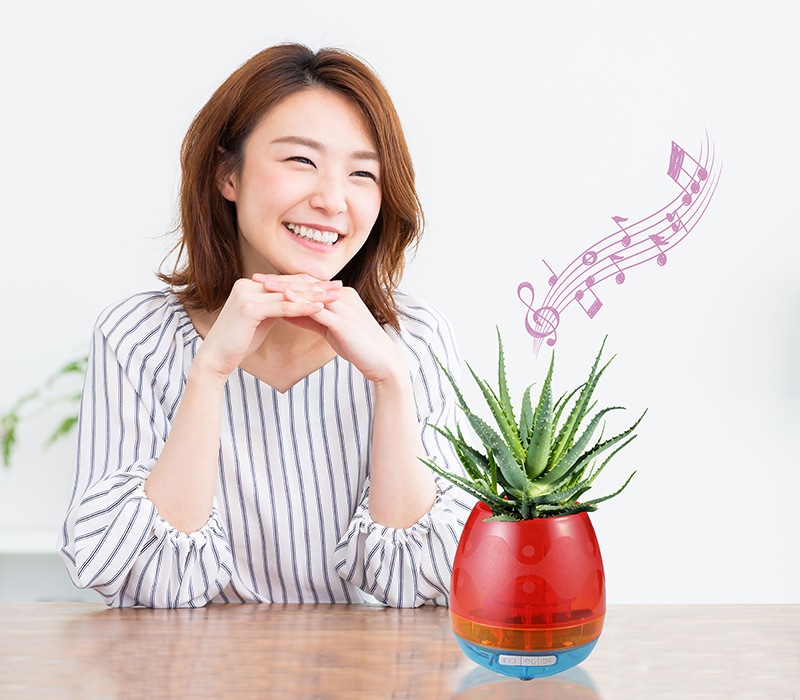 �դ��դǤ롦�����Ф������֥��ޡ��ȥե��ݥåȡ�