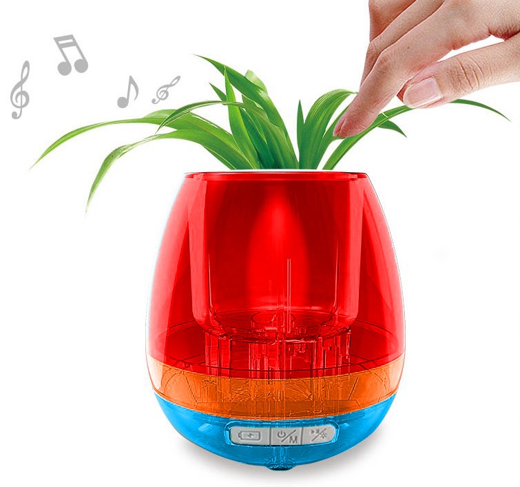 �դ��դǤ롦�����Ф������֥��ޡ��ȥե��ݥåȡ�