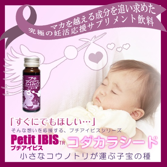 �ץ������ӥ����������饷����