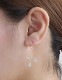�֥롼�ȥѡ����ֶ�ĥ��ԥ�����K14GF