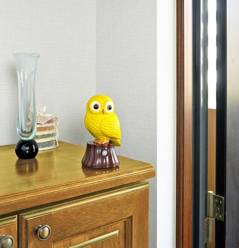 �椬�Ȥ�ʡ�����