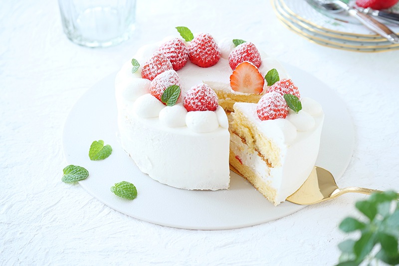 ���åȥץ졼�ȡ�Large