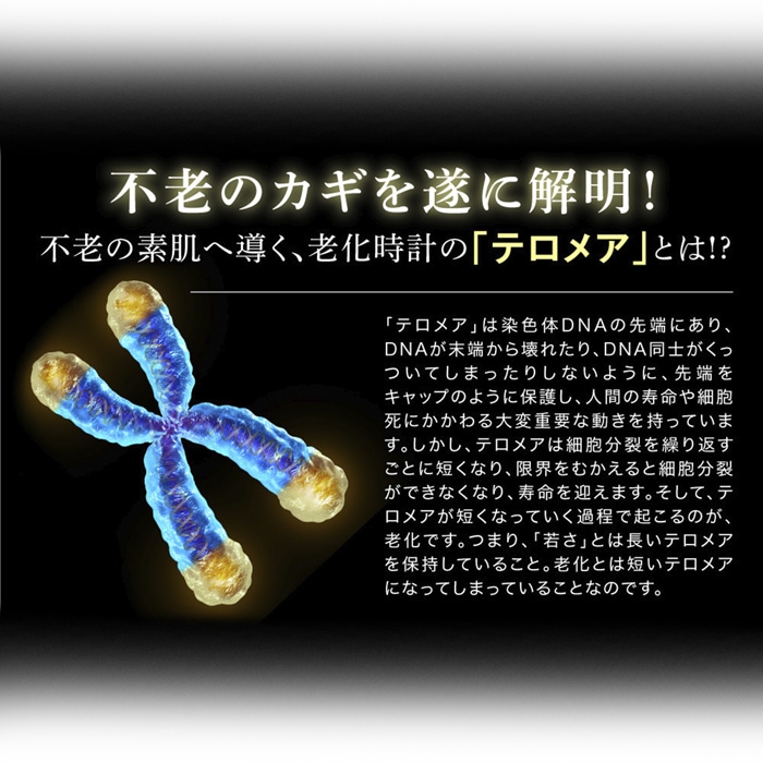 ����ʰ�ƽ����Ʊա����饻��