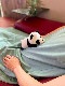 �ӣ������ �ۥåȡ���������ѥåɡ����˥ޥ롡�ѥ��