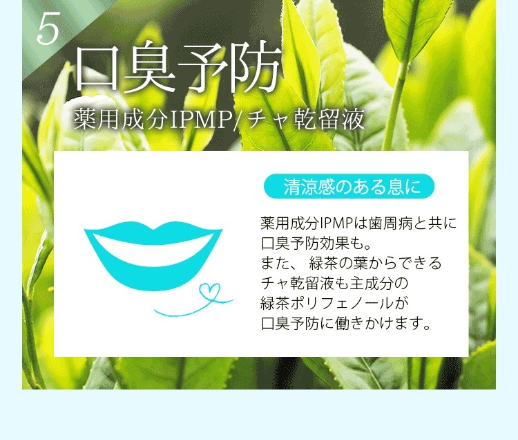 ���ѥѡ���ۥ磻�� �ץ����㥤�󡡎͎ގَ��ގӎ���&�Ўݎ� 120g
