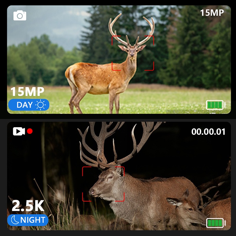 �ŰǤǤ⻣�ƤǤ���Ż��д���֥ʥ��ȥϥ󥿡�S��