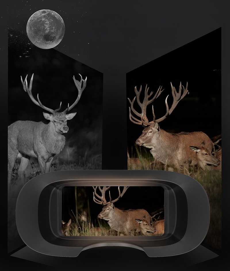 �ŰǤǤ⻣�ƤǤ���Ż��д���֥ʥ��ȥϥ󥿡�S��