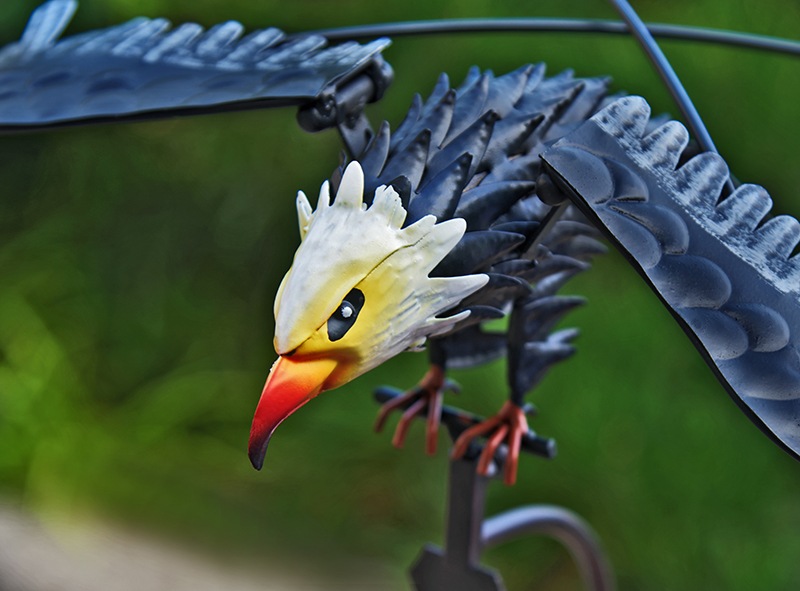 ����ư���ɤΥ����ʥ���