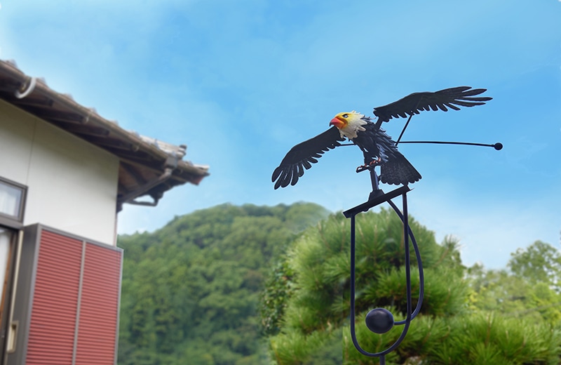 ����ư���ɤΥ����ʥ���